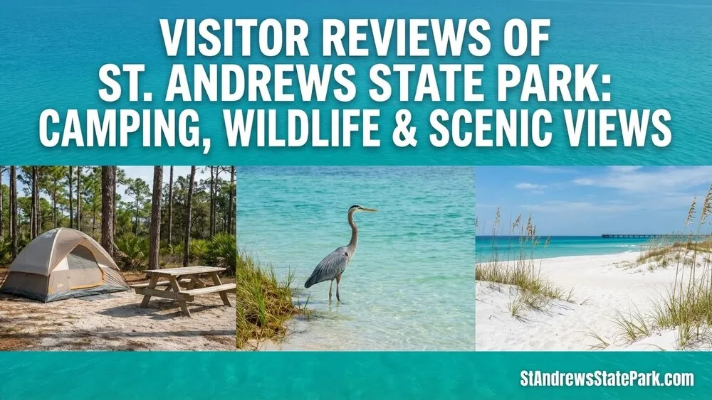 A scenic view of a heron standing at the edge of St. Andrews State Park's shoreline, as seen in visitor reviews about the par…