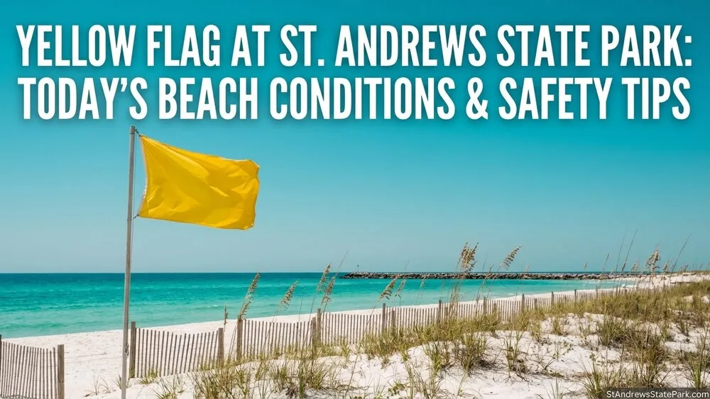 A yellow flag flying at St. Andrews State Park indicating caution for beach conditions.