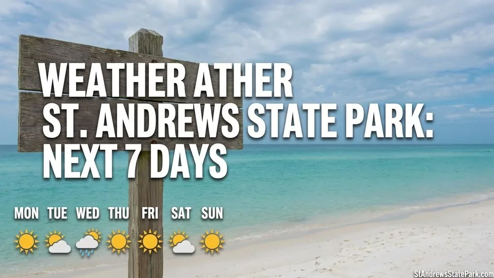 A sunny beach scene at St. Andrews State Park with clear blue skies over the ocean for the next 7 days.
