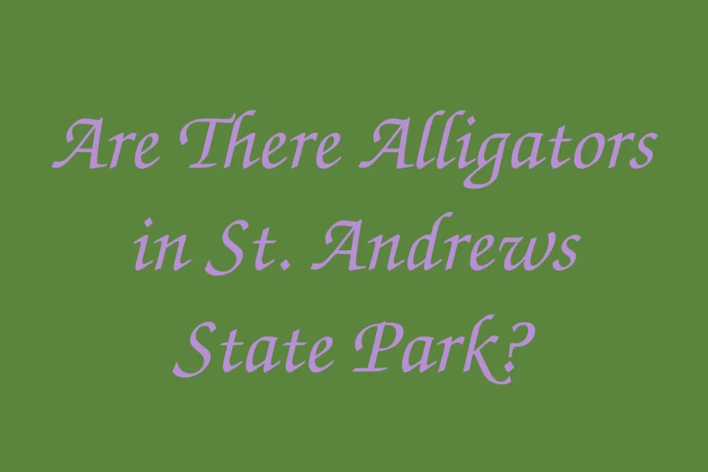 are-there-alligators-in-st-andrews-state-park
