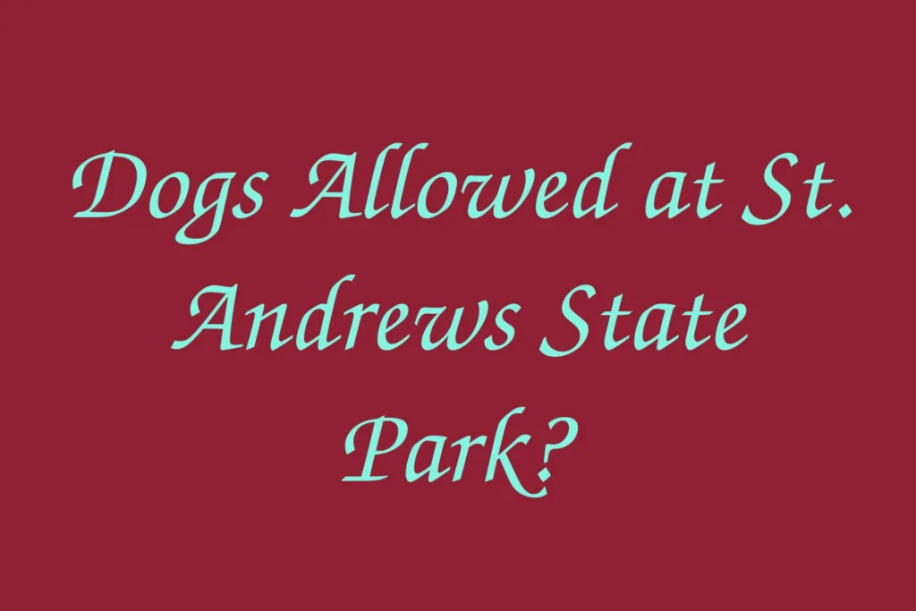 dogs-allowed-at-st-andrews-state-park