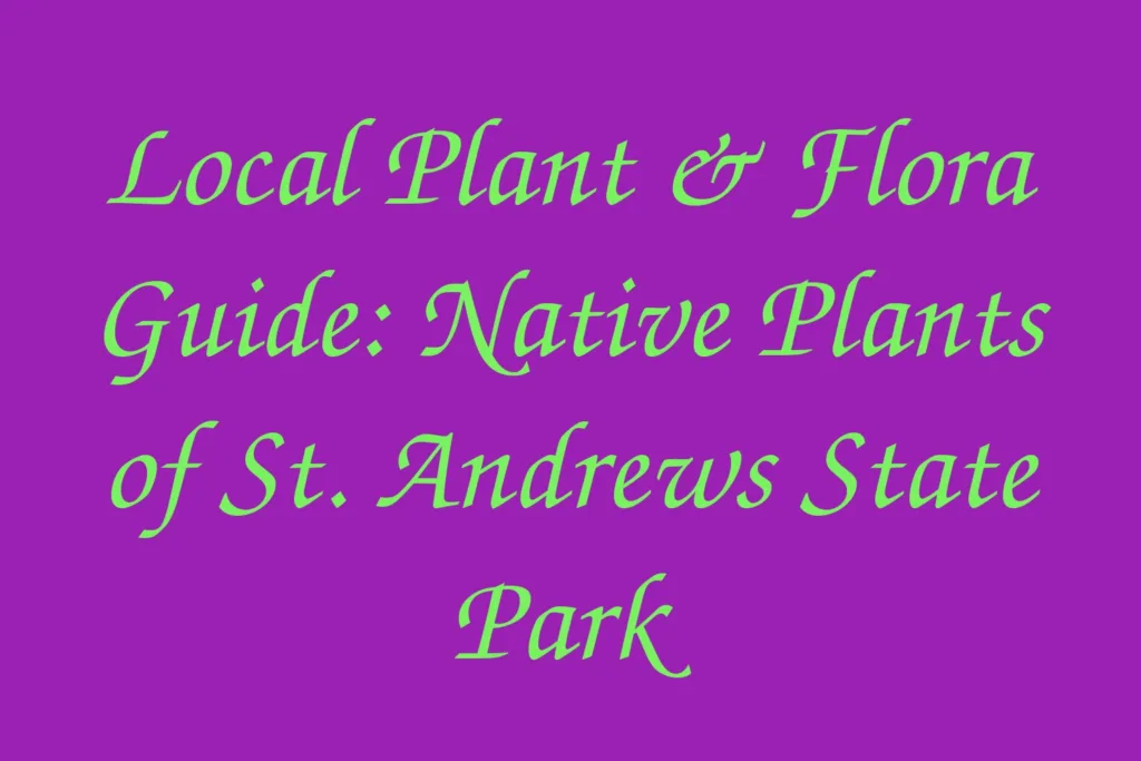 local-plant-flora-guide-native-plants-of-st-andrews-state-park