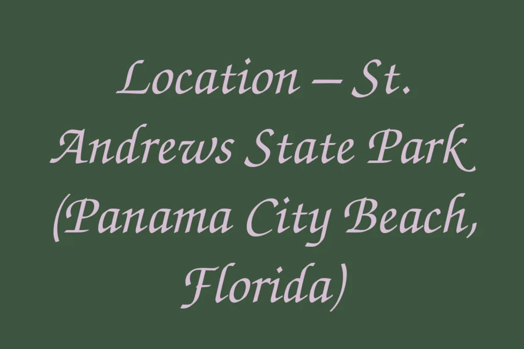 location-st-andrews-state-park-panama-city-beach-florida