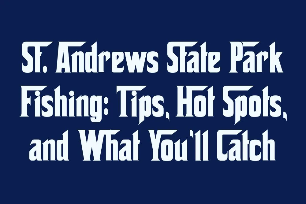 st-andrews-state-park-fishing-tips-hot-spots-and-what-youll-catch