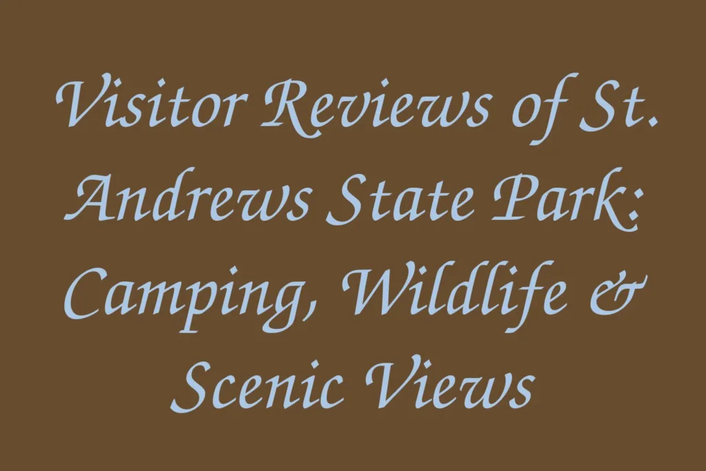 visitor-reviews-of-st-andrews-state-park-camping-wildlife-scenic-views