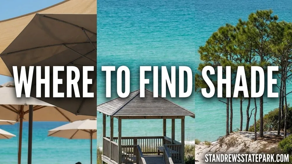 A shaded picnic area overlooking St. Andrews State Park's sandy beach with clear blue water in the background.