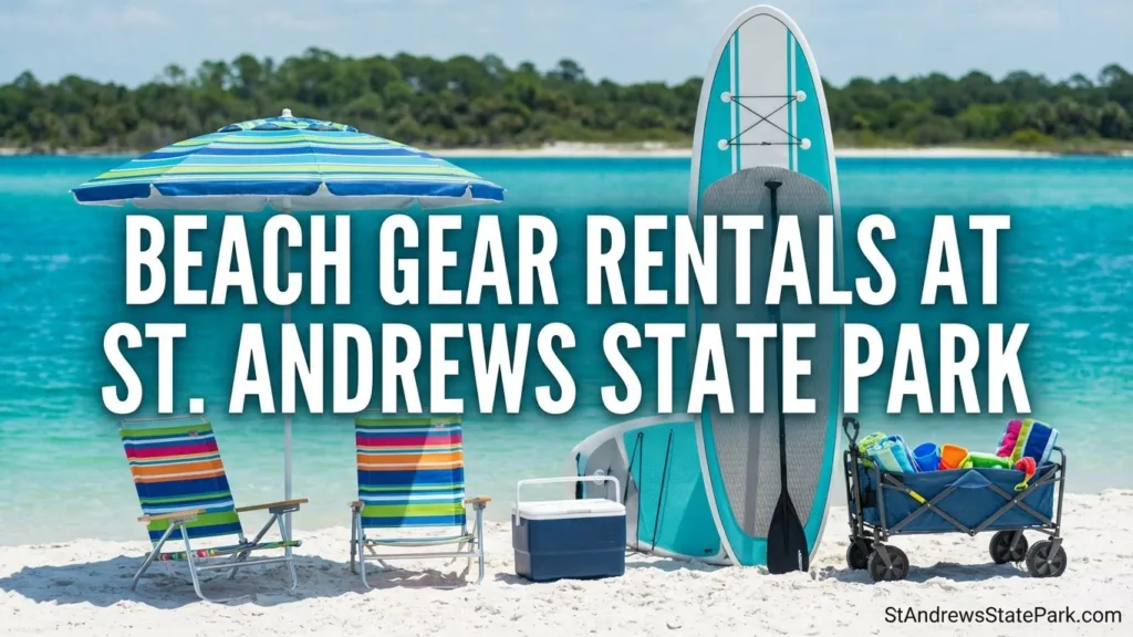 St. Andrews State Park beach gear rentals with colorful chairs and umbrellas set up on the sandy shoreline.
