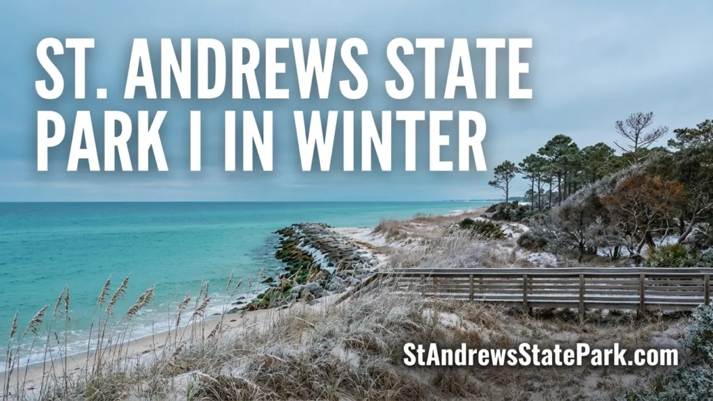 St. Andrews State Park in winter shows calm waters and a rocky shoreline with distant trees.