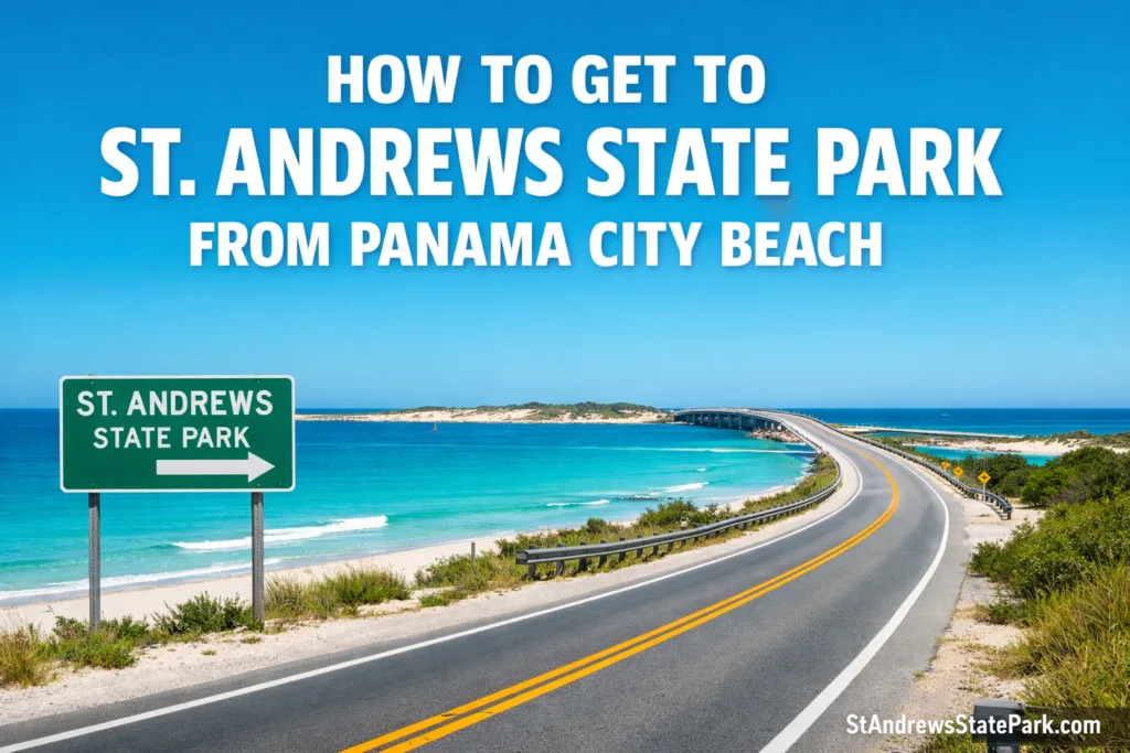 A scenic view of a curving road leading to St. Andrews State Park from Panama City Beach with clear blue water on one side.