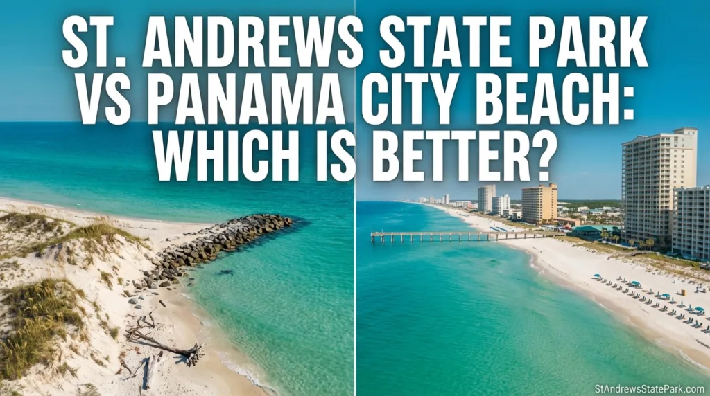 St. Andrews State Park features a sandy beach with clear waters, contrasting with the lively atmosphere of Panama City Beach.